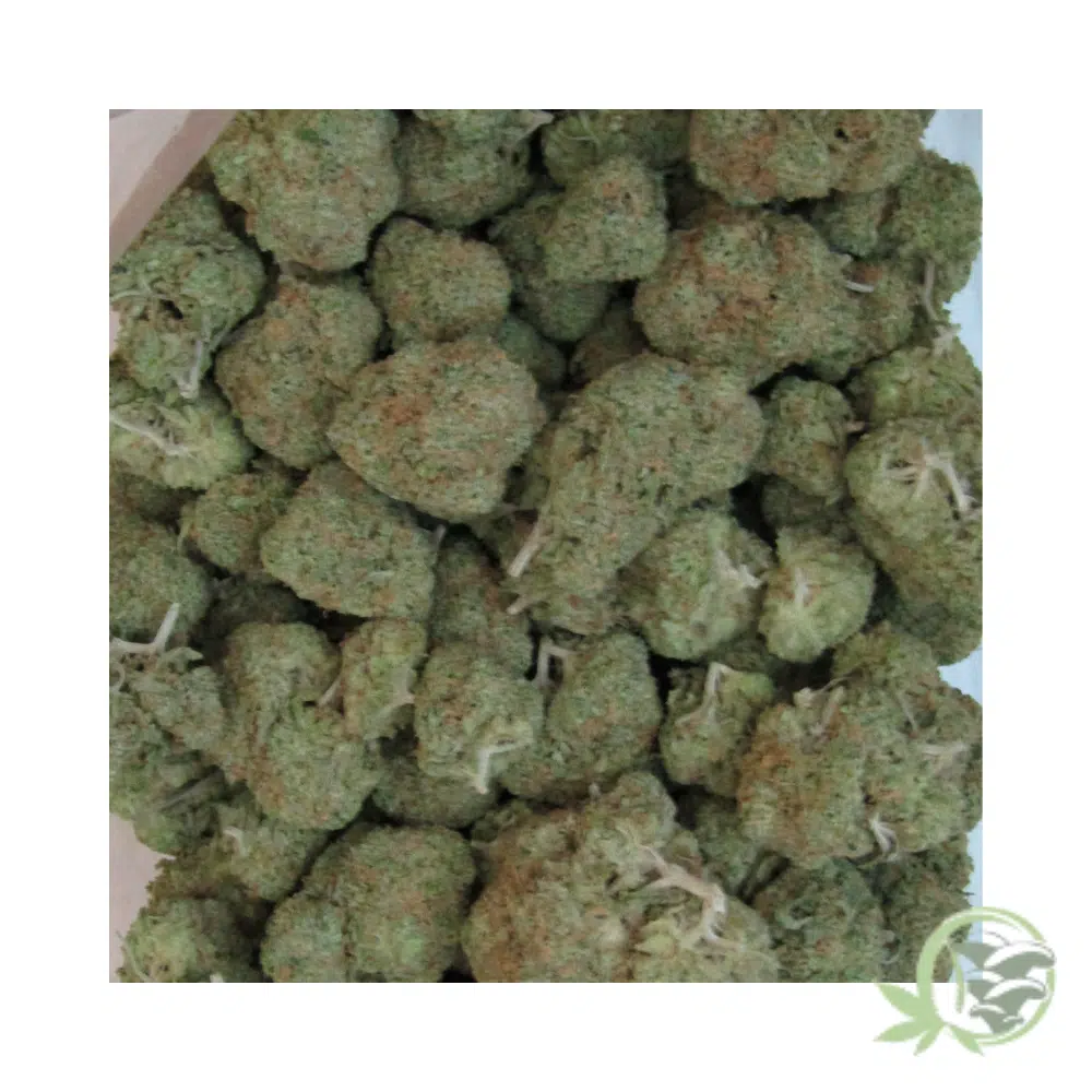 Super Silver Haze - Image 5