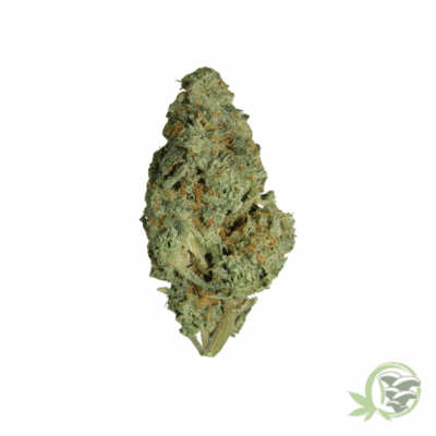 Wedding Crasher Marijuana