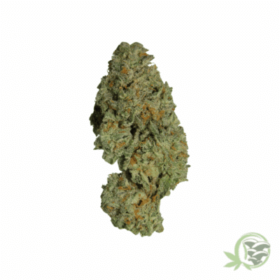 Wedding Crasher Cannabis