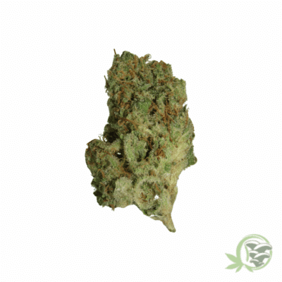 Zombie OG Hybrid