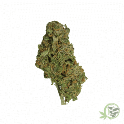 Zombie OG Weed