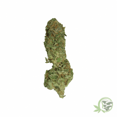 Zombie OG Strain