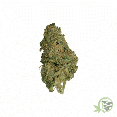 Zombie OG Cannabis