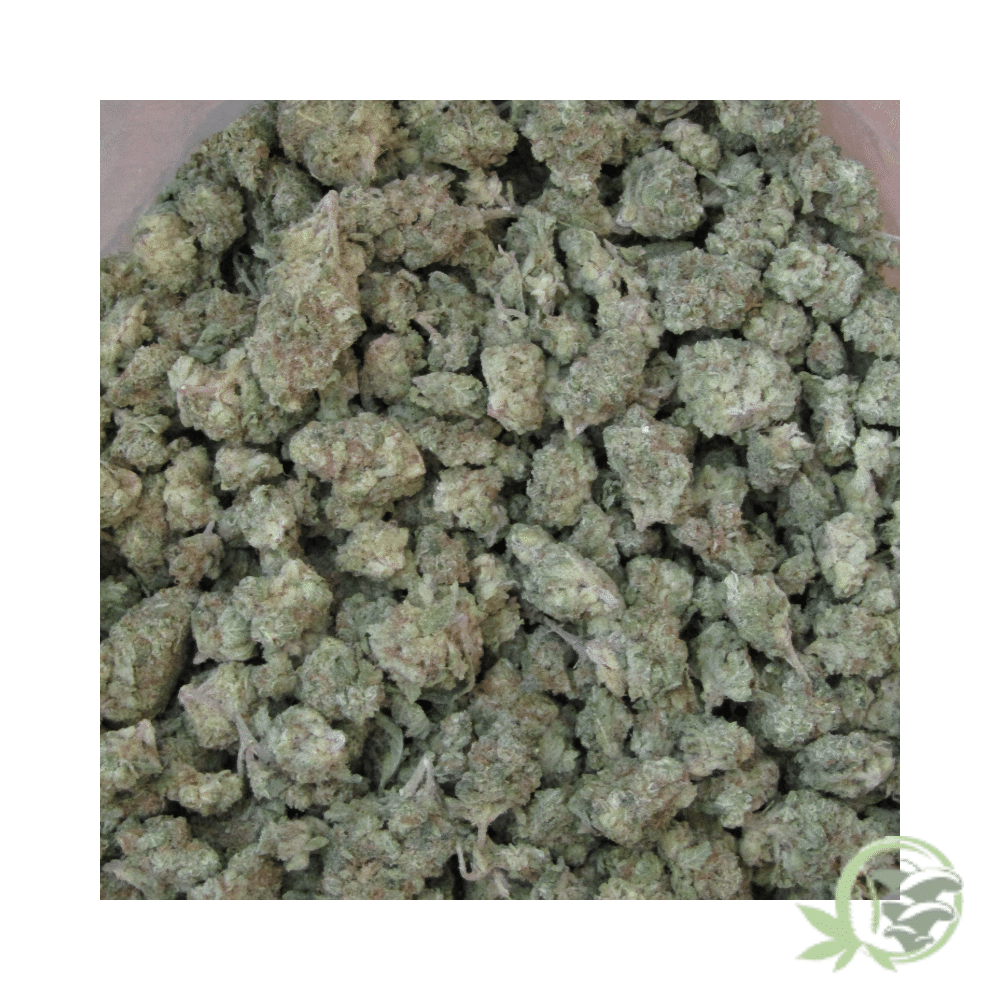 Amnesia Kush (Smalls) - Image 5