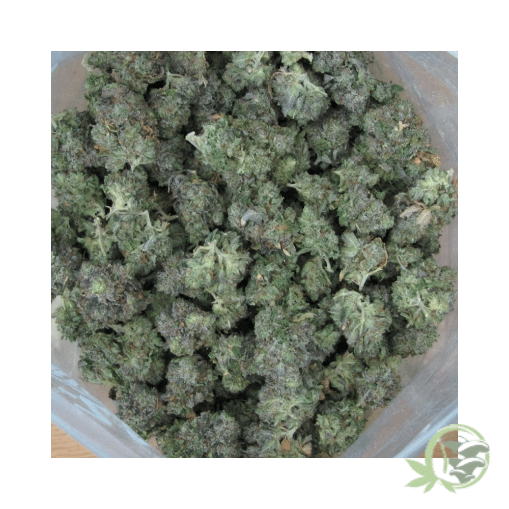 Death Star (Mids) - Image 4