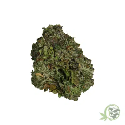Death Star Indica