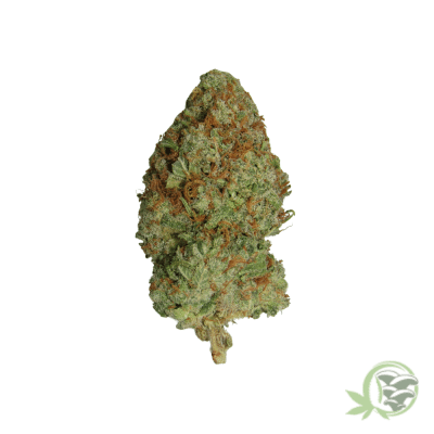 King's Kush Cannabis
