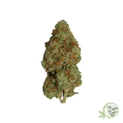 King's Kush Indica