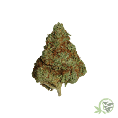 King's Marijuana Strain