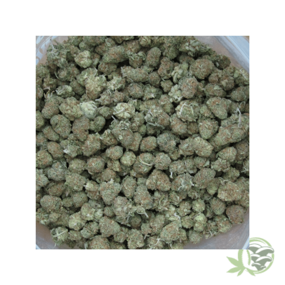 Miracle Alien Cookies (Smalls) - Image 5
