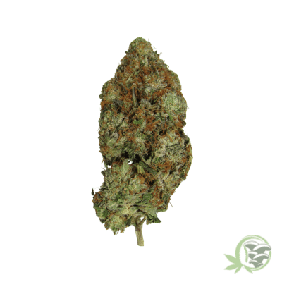 Pink Bubba Indica
