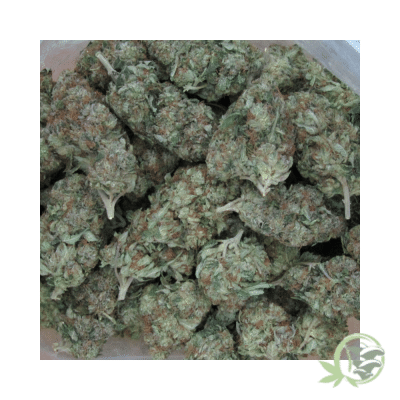 Pink Bubba Cannabis