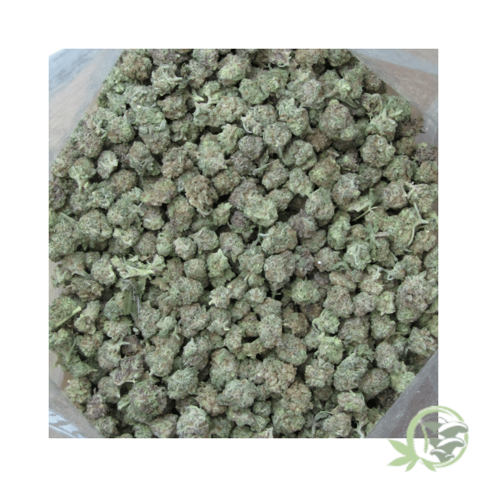 Sunset Sherbert (Smalls) - Image 5