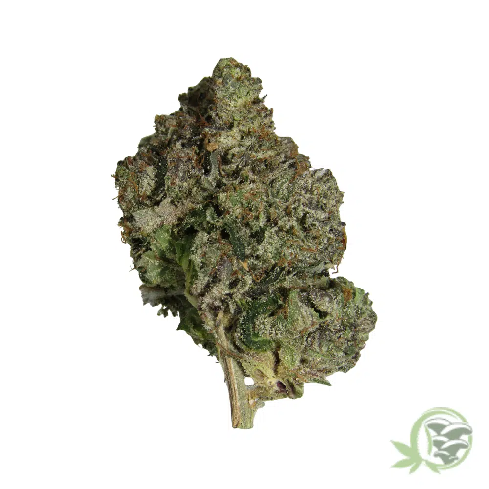 Bluefin Tuna Kush - Image 4