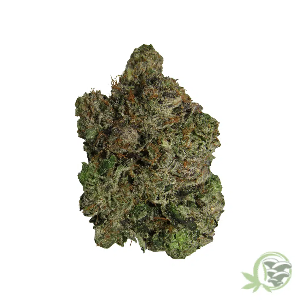 Bluefin Tuna Kush - Image 3