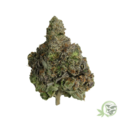 Bluefin Tuna Kush