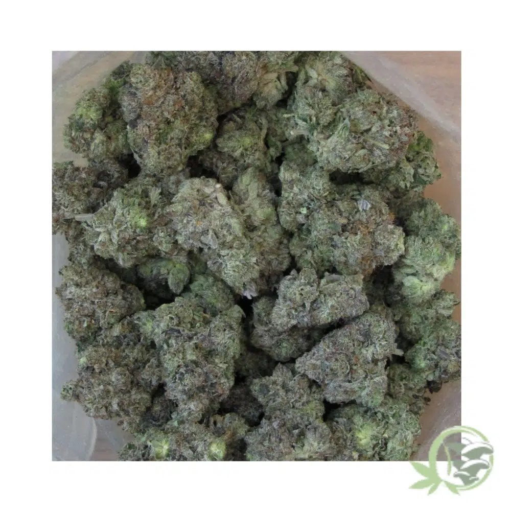 Bluefin Tuna Kush - Image 2