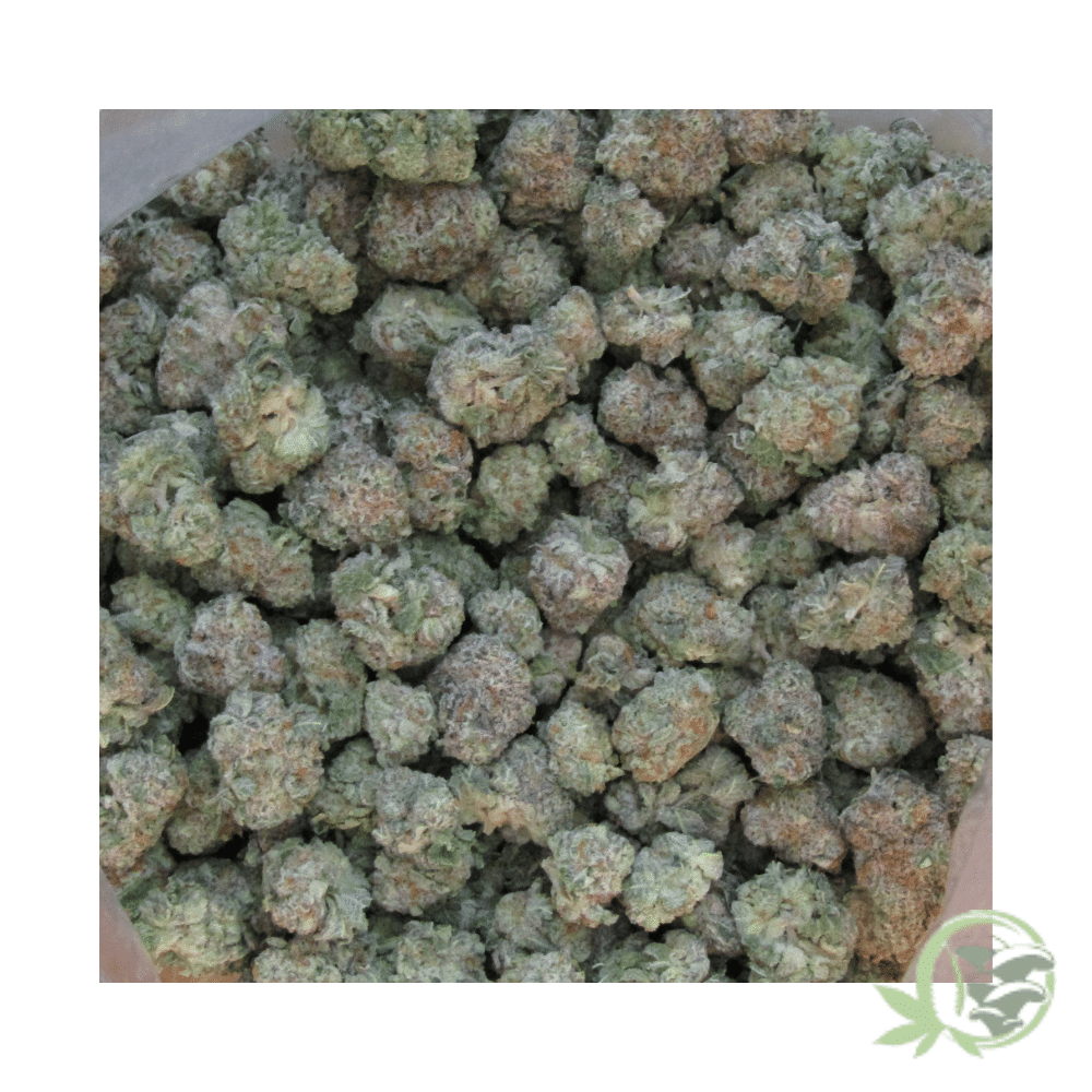 Cherry Diesel (Mids) - Image 5