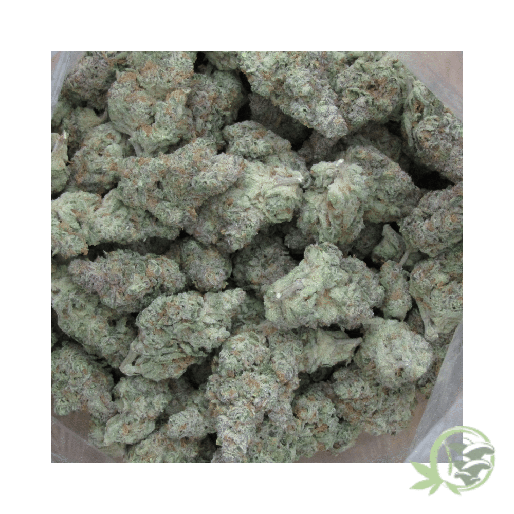 Durban Poison - Image 2