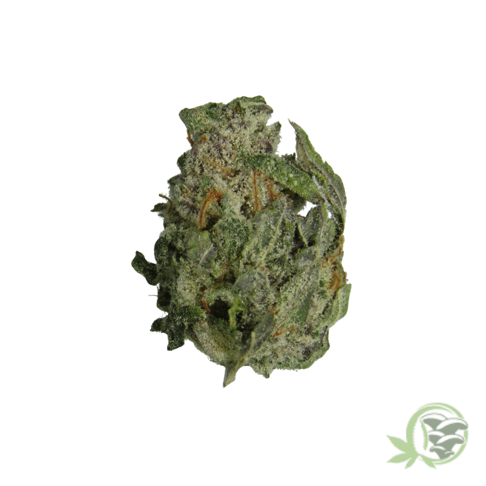 Durban Poison (Mids) - Image 5
