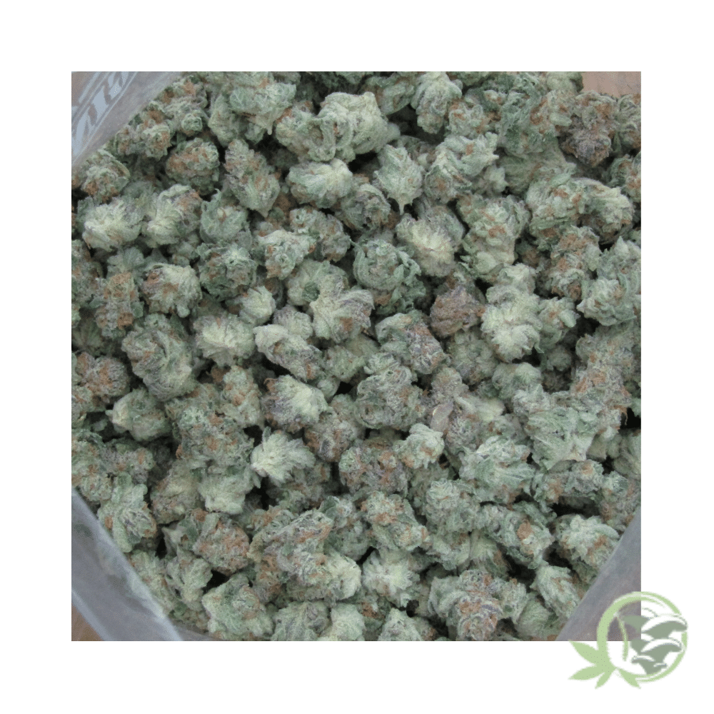 Durban Poison (Mids) - Image 2