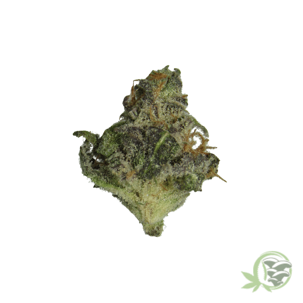 Durban Poison (Mids) - Image 3