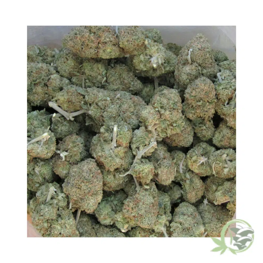Nuken - Image 6
