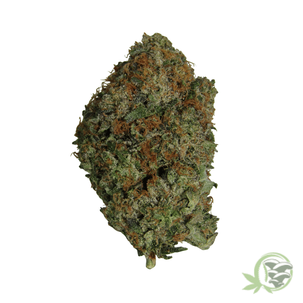 Tuna Kush - Image 4