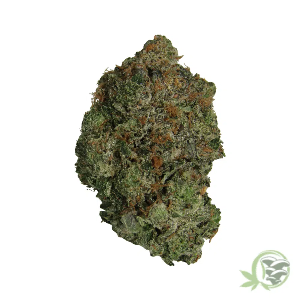 Tuna Kush - Image 3