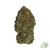 Tuna Kush