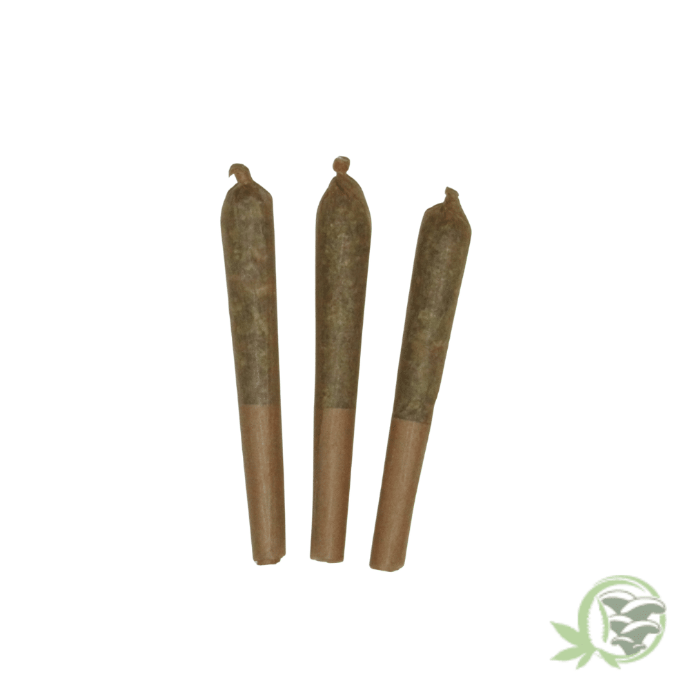Buzzed - Pre-Rolled Joints - Image 2