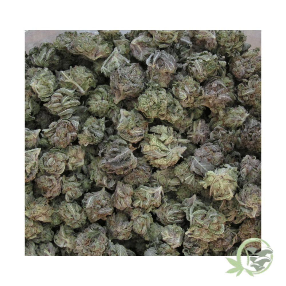 Death Bubba (Mids) - Image 2