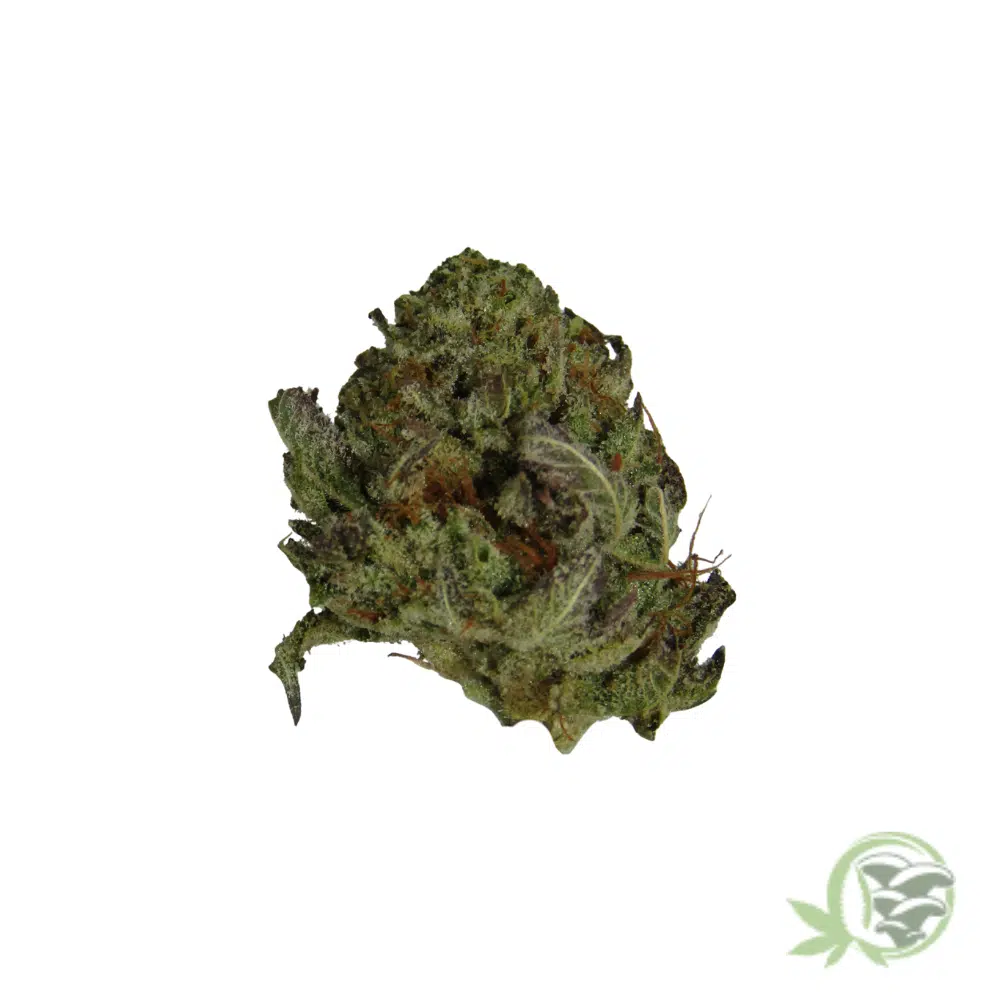 Frosted Fruit Cake (Mids) - Image 6
