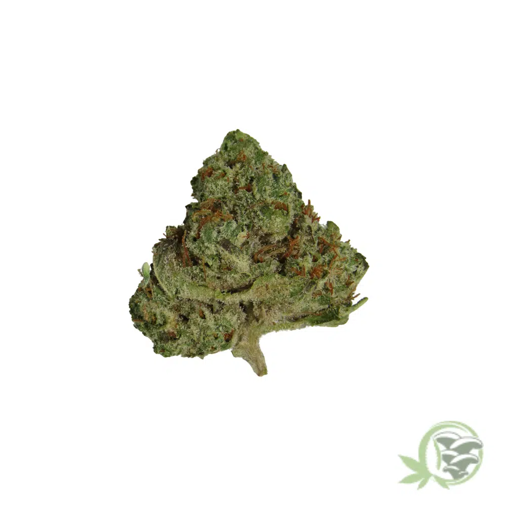Frosted Fruit Cake (Mids) - Image 5