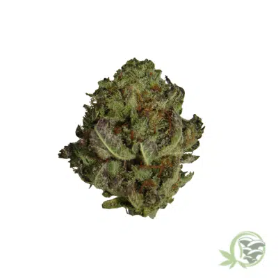 Frosted Fruit Cake (Mids)