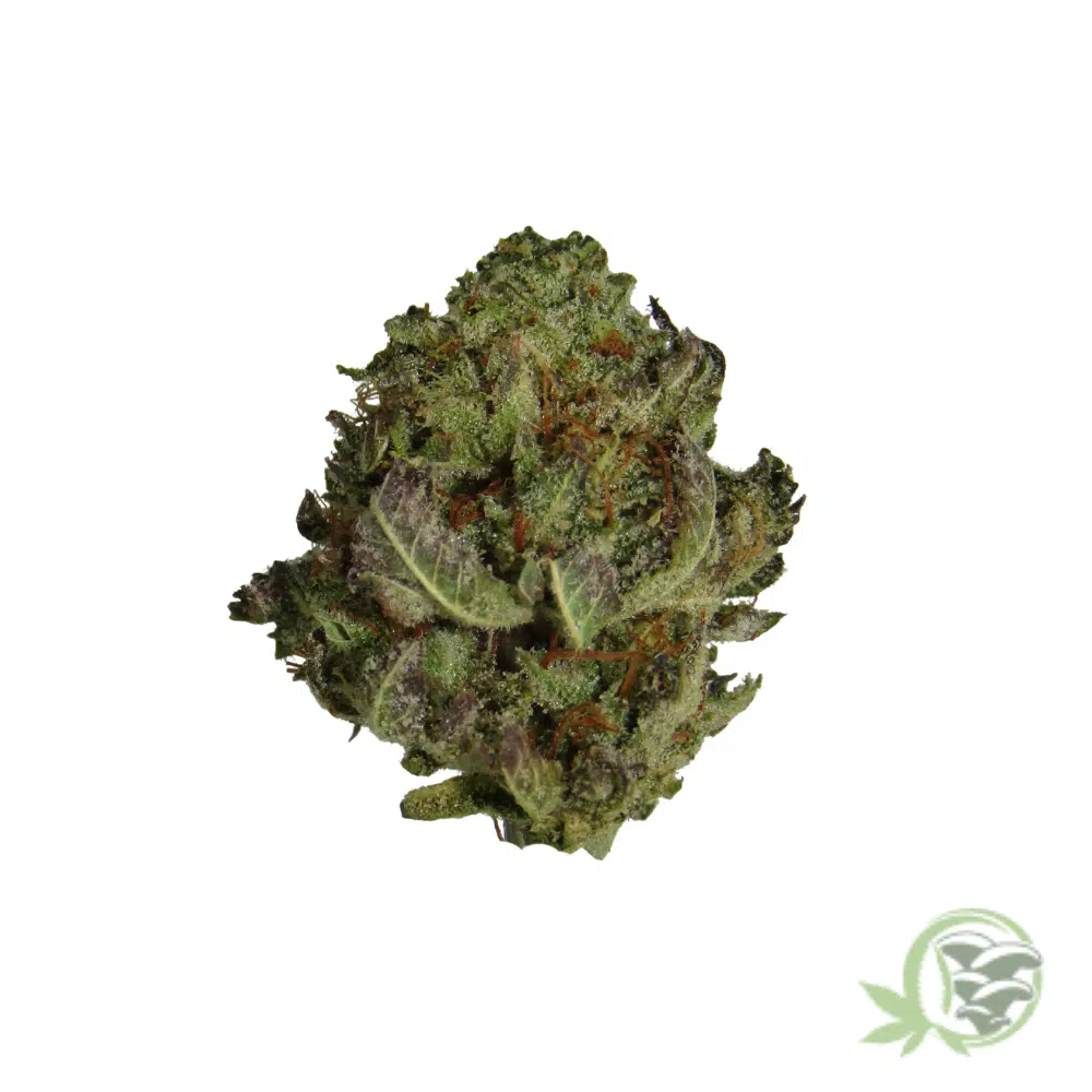 Frosted Fruit Cake (Mids)