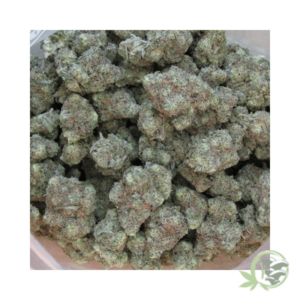 Lemon Haze - Image 2