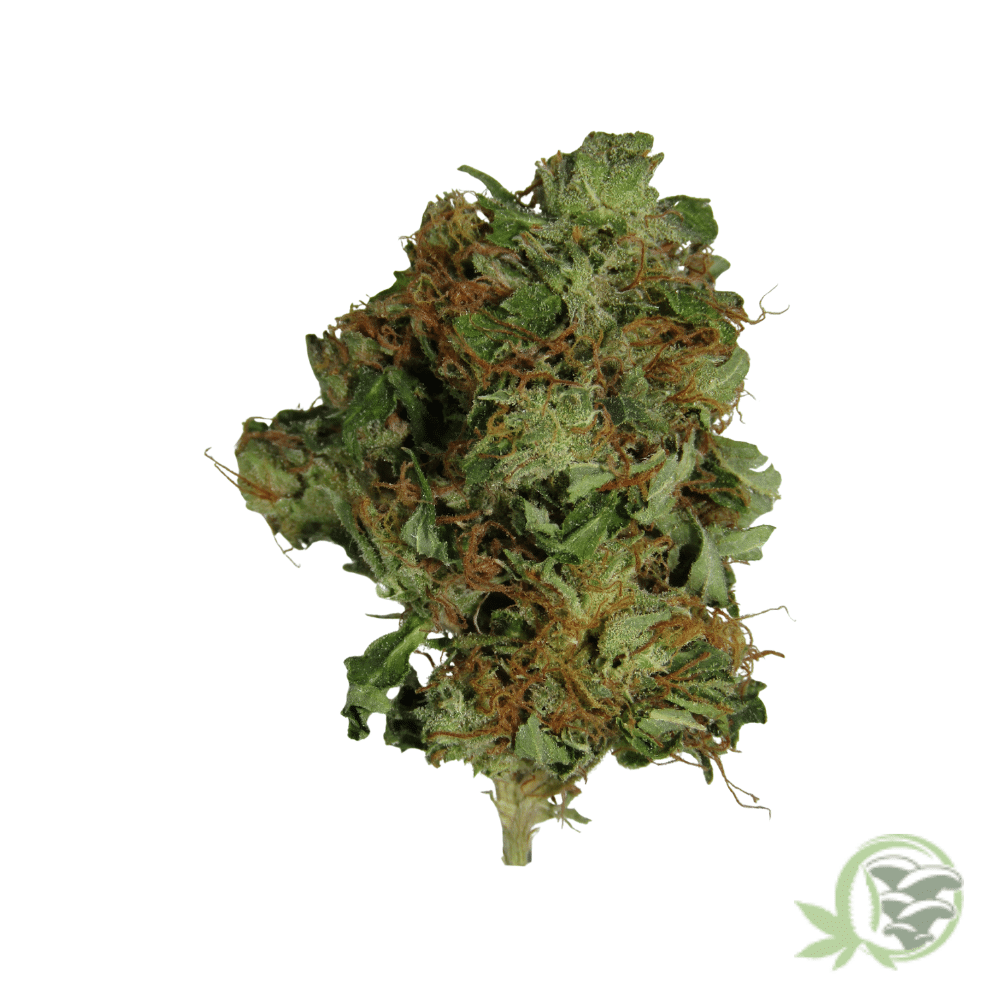 Pink Bubba (Mids) - Image 5