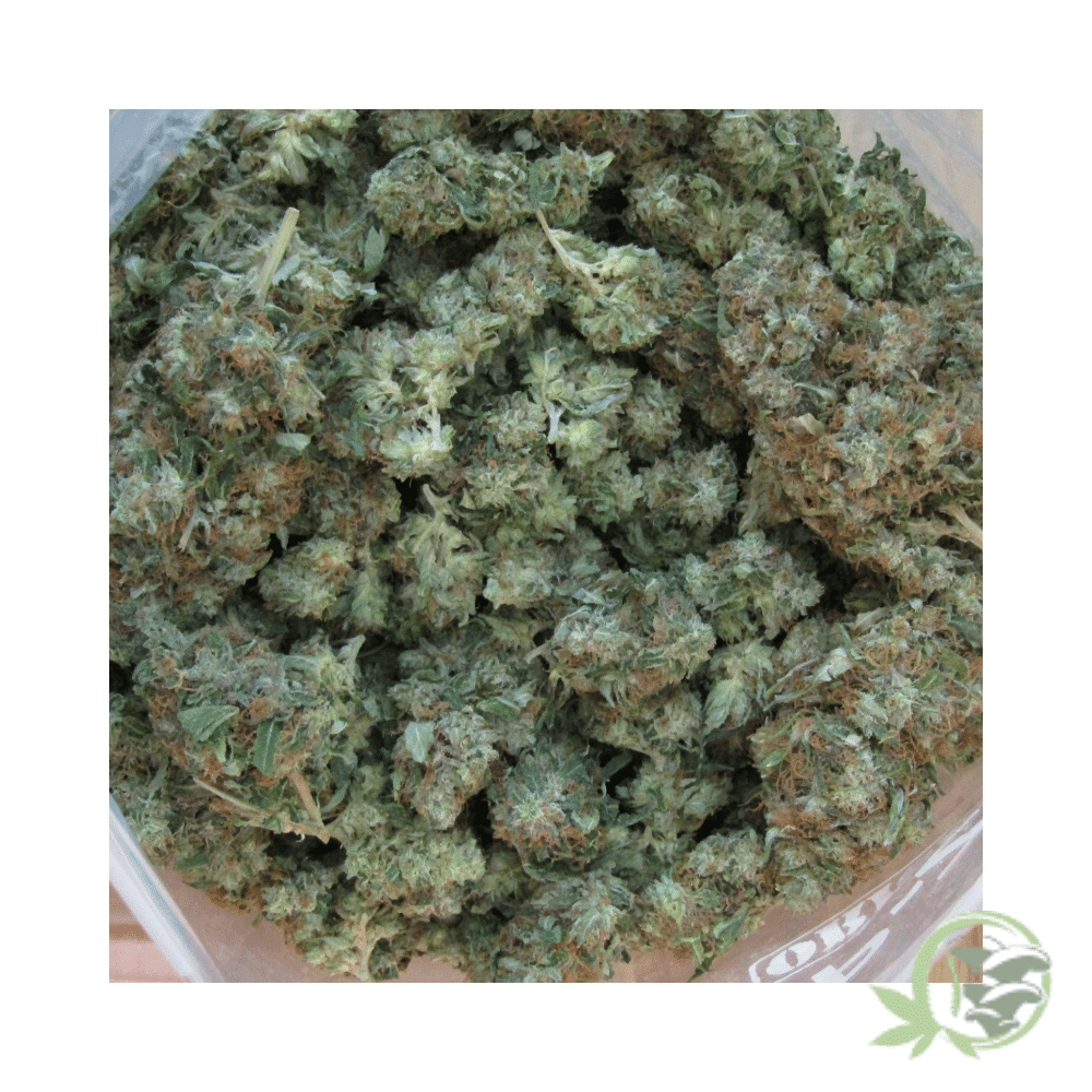 Pink Bubba (Mids) - Image 2