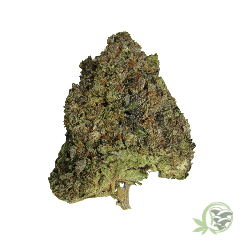 Rockstar Kush - Image 3