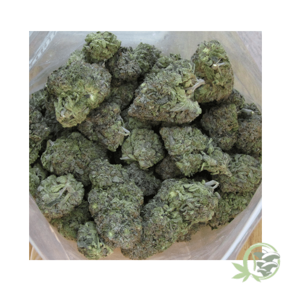 Rockstar Kush - Image 2