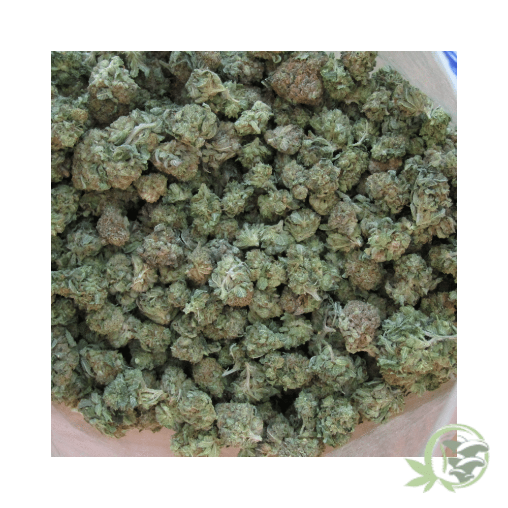Super Lemon OG (Mids) - Image 5