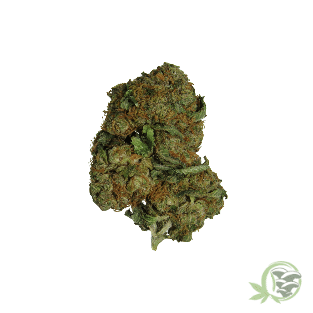 Super Lemon OG (Mids) - Image 2