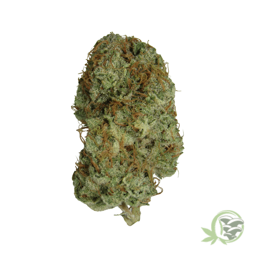 Vanilla Kush