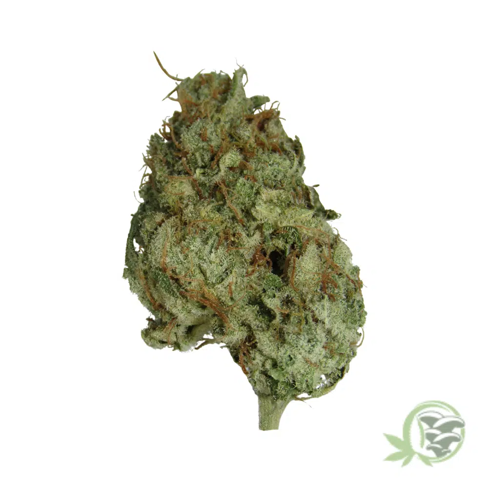 Vanilla Kush - Image 3