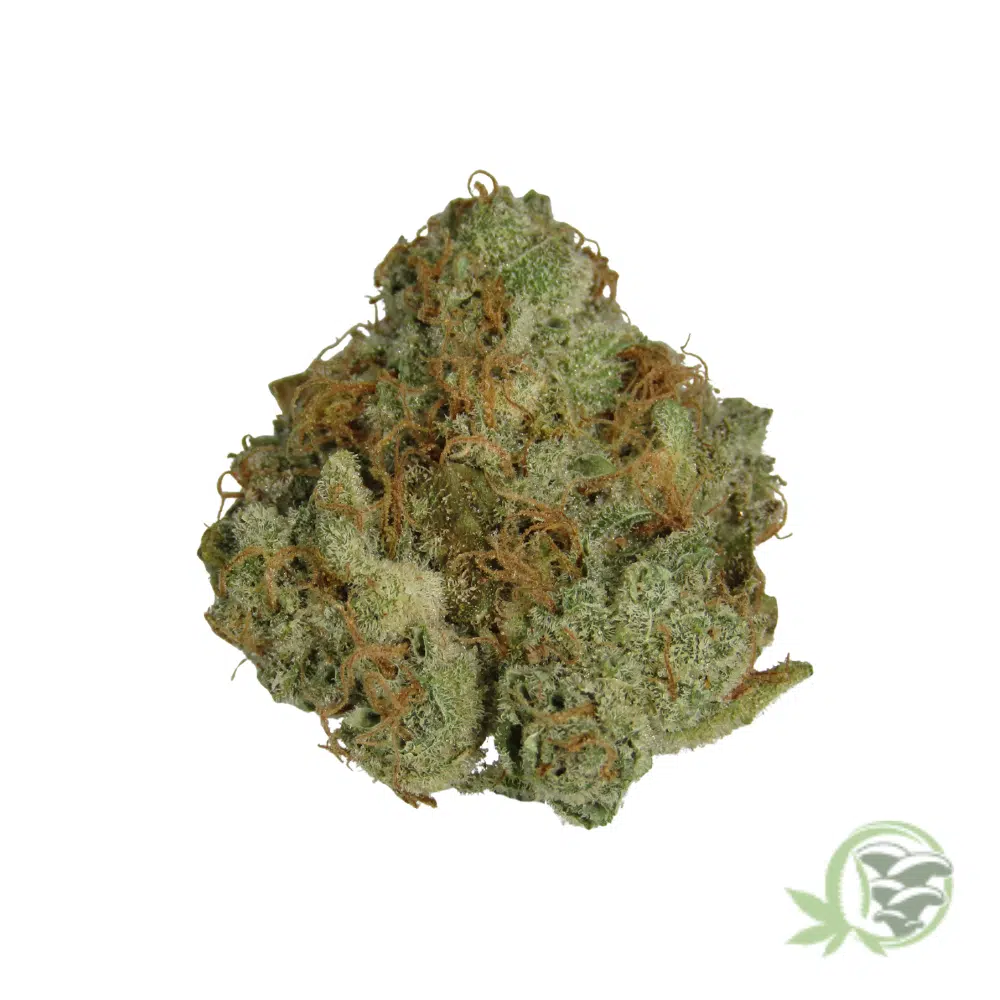 Vanilla Kush - Image 2