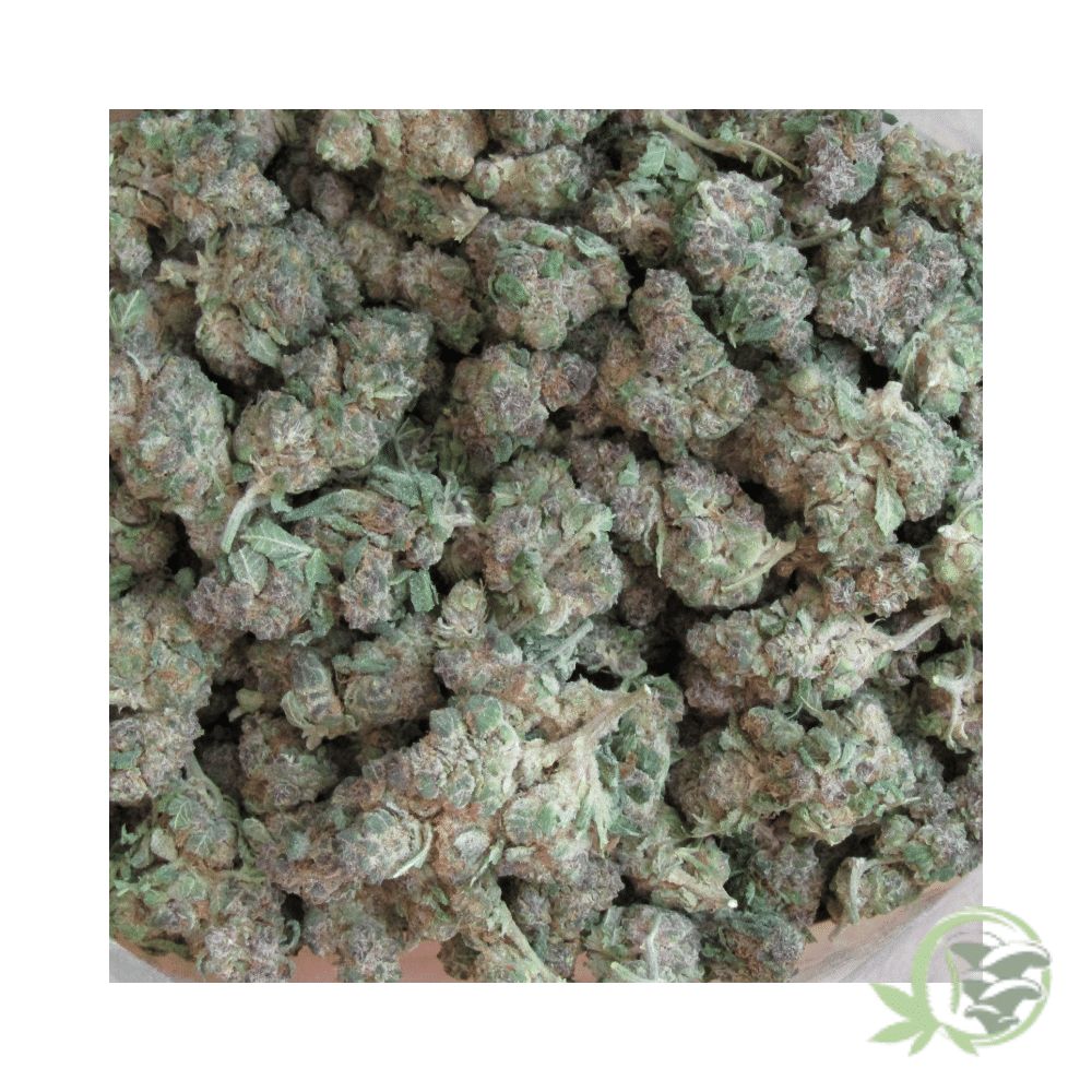 Cherry Haze (Mids) - Image 2