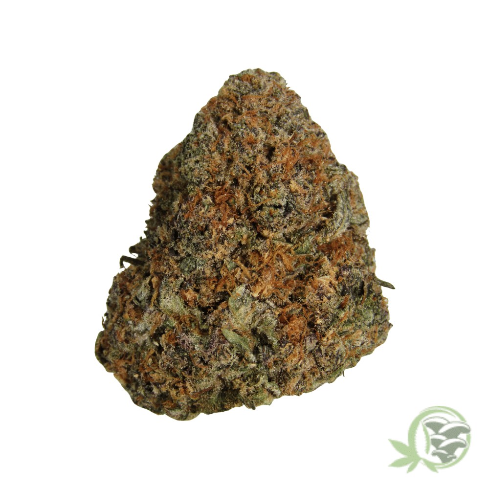 Gelato Punch - Image 5