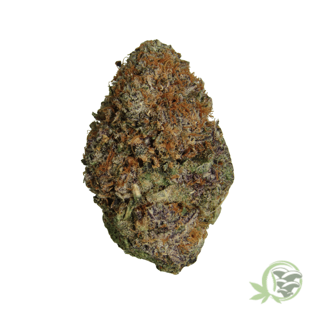 Gelato Punch - Image 4