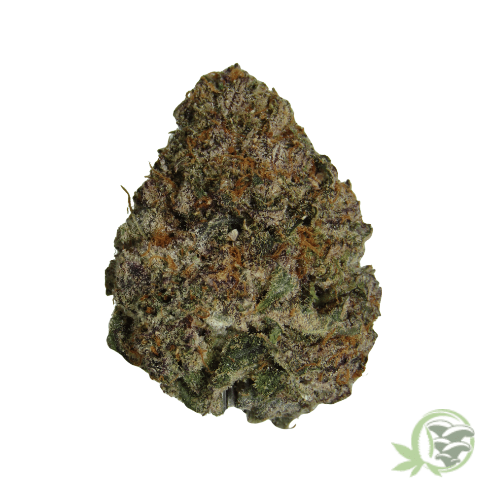 Gelato Punch - Image 3